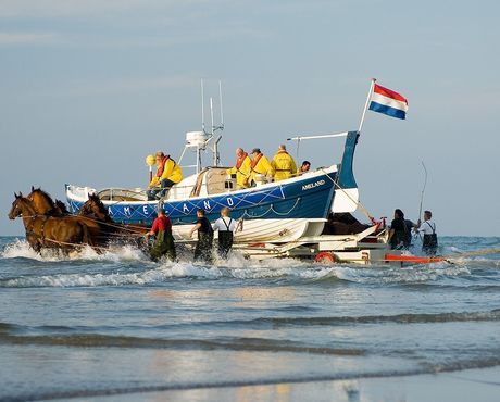 Das Pferderettungsboot